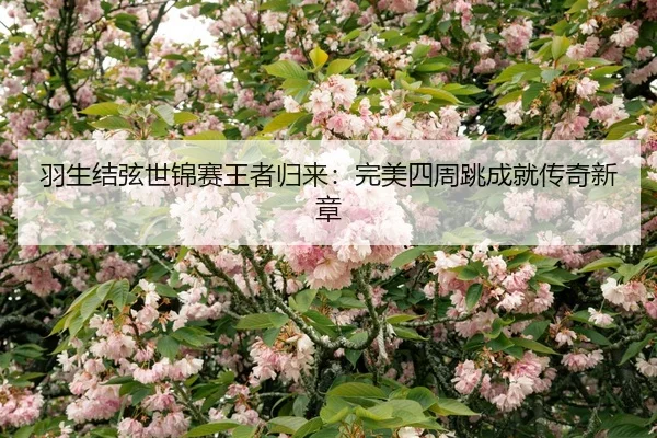 yu-sheng-jie-xian-shi-jin-sai-wang-zhe-gui-lai-wan-mei-si-zhou-tiao-cheng-jiu-chuan-qi-xin-zhang-2-772.jpg